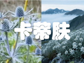 卡蒂肤